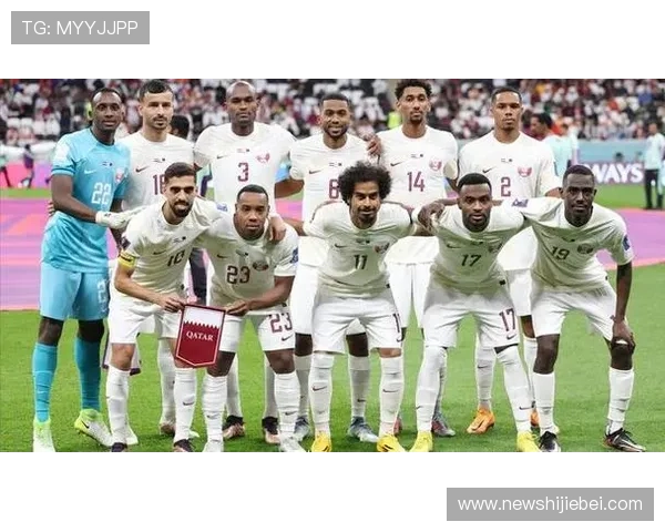 世界杯球队排名一览表最新更新，详细解析每支球队的排名变化与实力对比