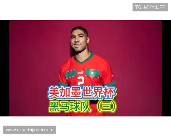 世界杯比赛排名实时更新指南让你轻松追踪每个阶段球队的最新排名信息