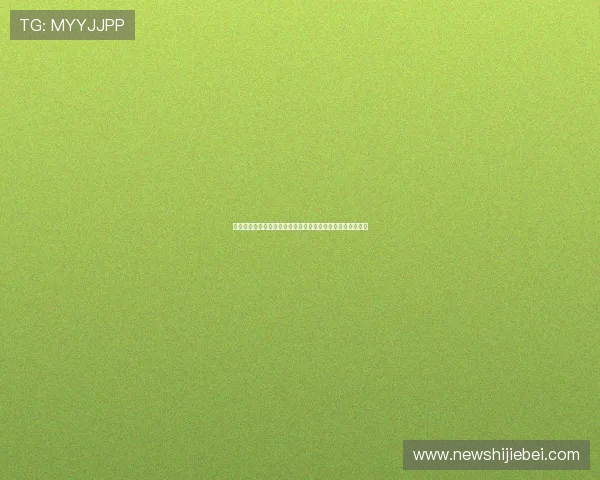 比利时与伊朗在世界杯友谊赛中的精彩对决全场比赛数据回顾
